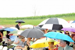 umbrellas