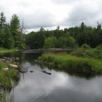 Petawawa River