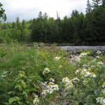 Petawawa River