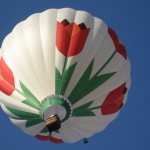 Tulips balloon