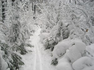 Bear Swamp skiing